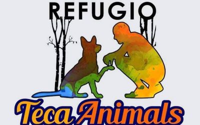 REFUGIO TECA ANIMALS