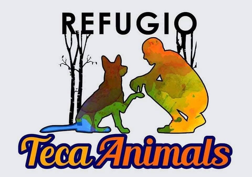 REFUGIO TECA ANIMALS
